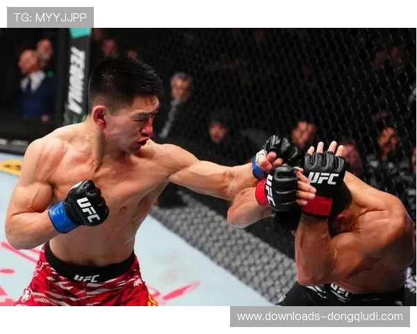 戳眼争议再现UFC赛场，裁判判罚与手套安全性受质疑