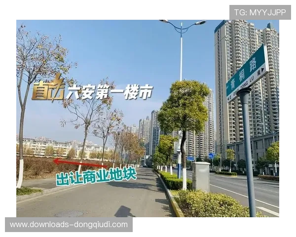 由于内容二创权限的逐步下放 体育场馆运营在本季度激活了社区端流量价值